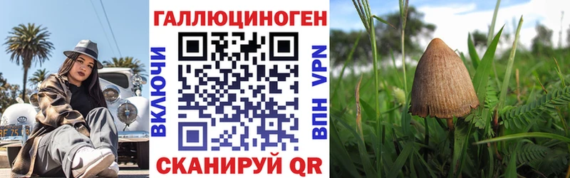 Галлюциногенные грибы MAGIC MUSHROOMS  Анадырь 